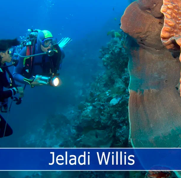 Jeladi Willis is a delightful dive site located in East Sanur